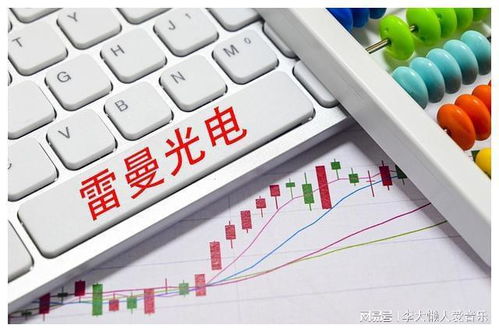雷曼光電 光電產(chǎn)業(yè)的璀璨明星,未來發(fā)展?jié)摿o限