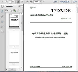 t dxds 002 2019電子商務銷售產品 生干腰果仁 規格10頁