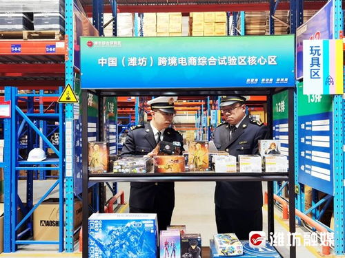 3天 1分鐘,跨境電商零售進口稅款電子支付在濰落地